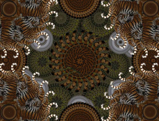 Tiger-Serie3-55