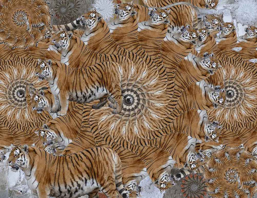 Tiger-Serie4-18