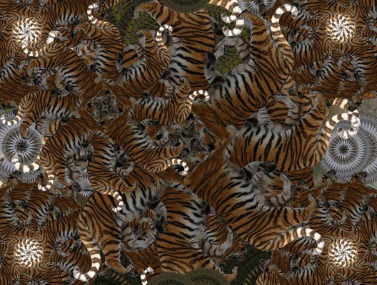 Tiger-Serie3-36