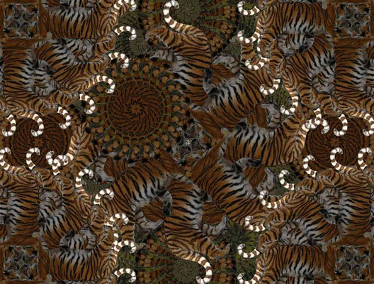 Tiger-Serie3-51