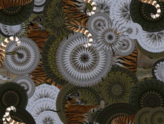 Tiger-Serie3-34
