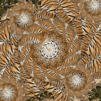 Tiger-Serie2-14