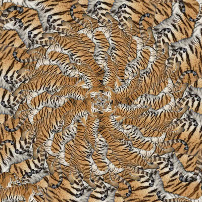 Tiger-Serie2-39