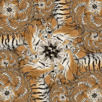 Tiger-Serie2-53