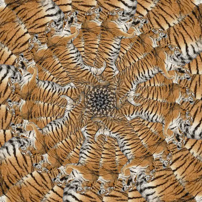 Tiger-Serie2-46