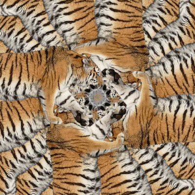 Tiger-Serie2-32