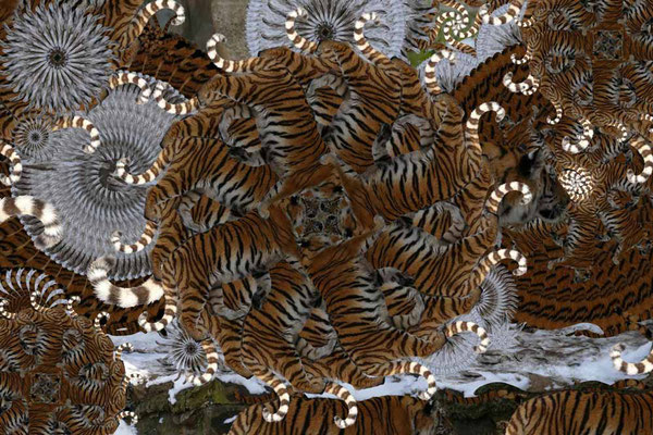 Tiger-Serie3-12
