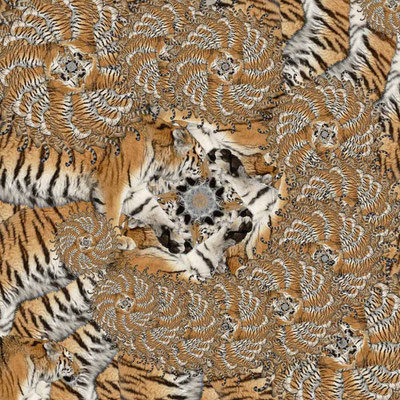 Tiger-Serie2-33