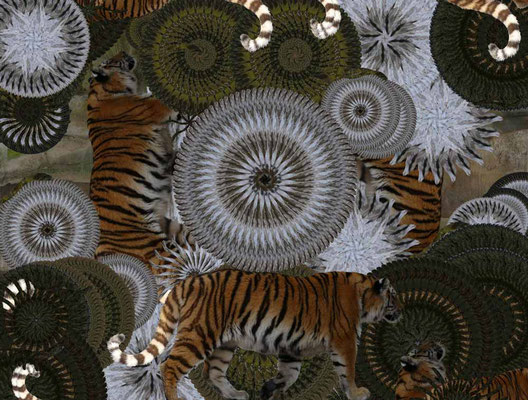 Tiger-Serie3-32
