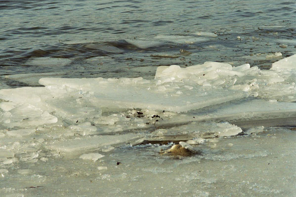 Eisschollen (05)