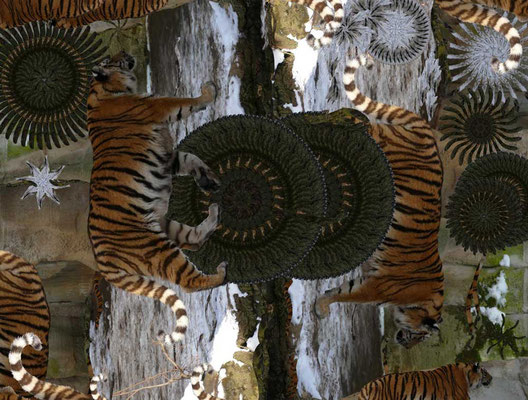 Tiger-Serie3-20