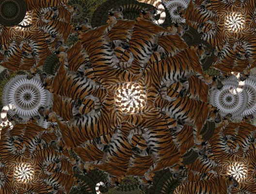 Tiger-Serie3-37