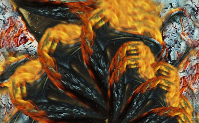 Feuerkegel (08)