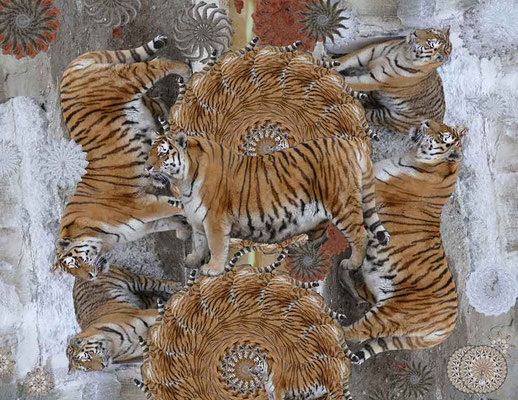Tiger-Serie4-16