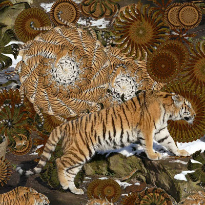 Tiger-Serie2-11