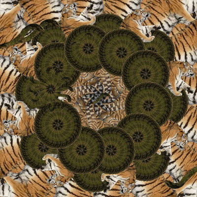 Tiger-Serie2-48