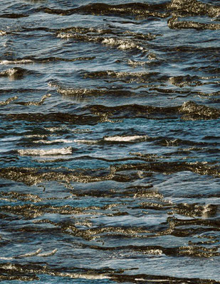 Seewellen (47)