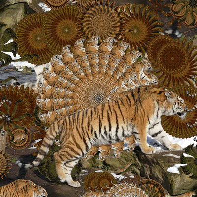 Tiger-Serie2-18