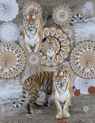 Tiger-Serie4-09
