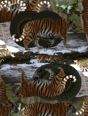 Tiger-Serie3-18