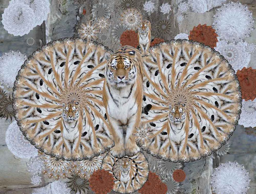 Tiger-Serie4-12