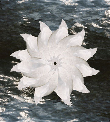 See 8 - Schwan (11)