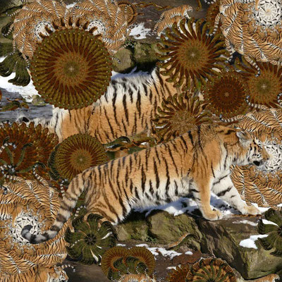 Tiger-Serie2-12