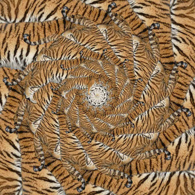 Tiger-Serie2-16