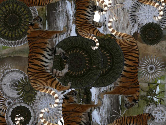 Tiger-Serie3-21