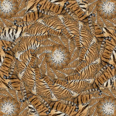 Tiger-Serie2-17
