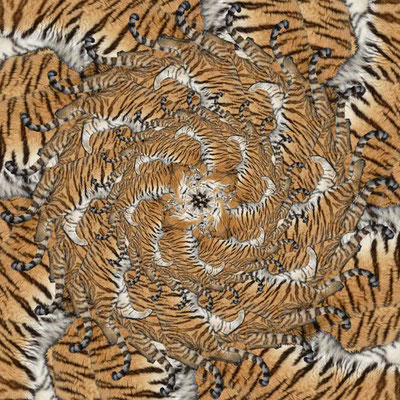 Tiger-Serie2-50