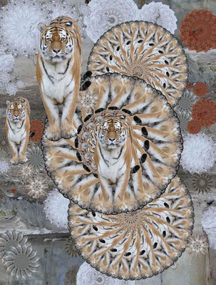 Tiger-Serie4-07