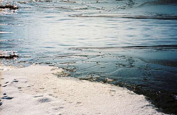 Winter am See - Spiegelung (05)