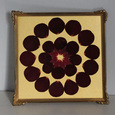 Kleines Rosenmandala