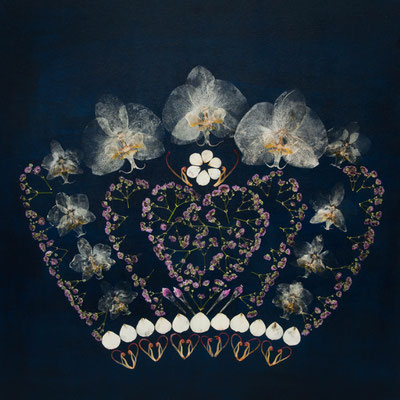 floralart Print  - Blaue Krönung 30 x 30