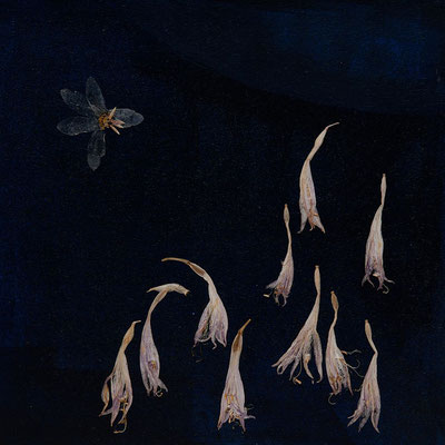 Fisch-Reiherei