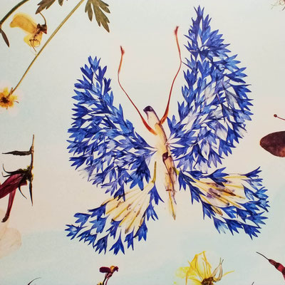 floralart Print  - Kleiner Blauer 30 x 30