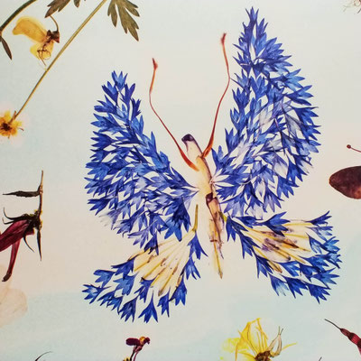 floralart Print  - Kleiner Blauer 30 x 30