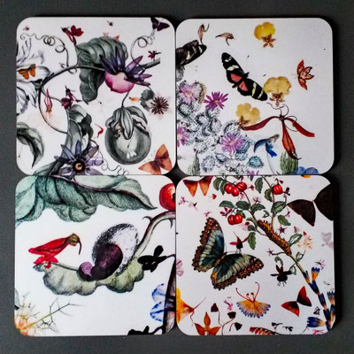 4er Set Korkuntersetzer Merian-Collage