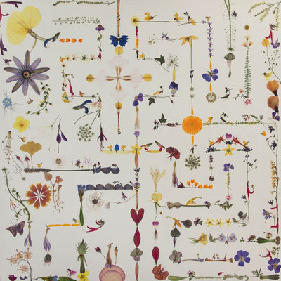 floralart Print - Labyrinth Ceres 80 x 80