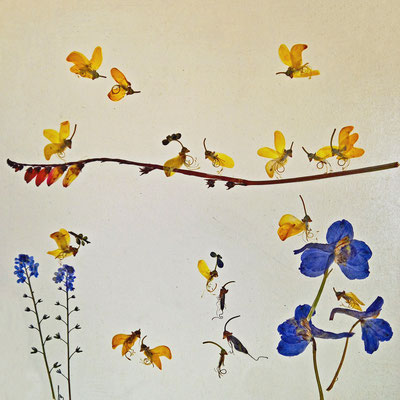 Käferlein floralart