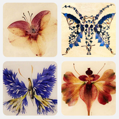 4er Set Kunstuntersetzer Schmetterlinge