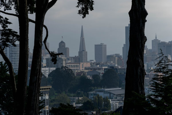 Die Transamerica Pyramide.