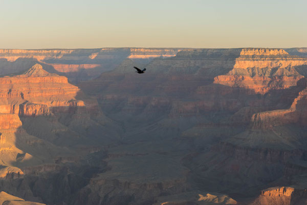 Sonnenaufgang am Grand Canyon.