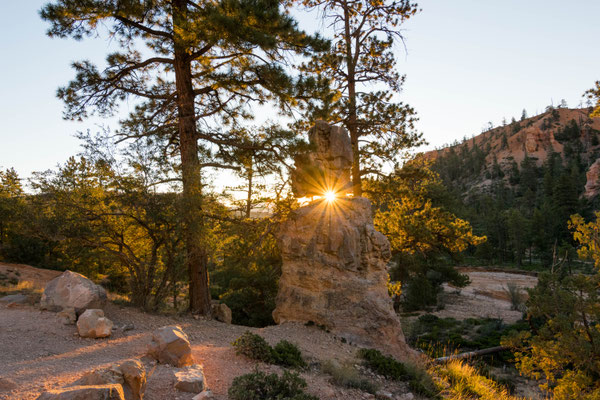 Irgendwo im Bryce Canyon.