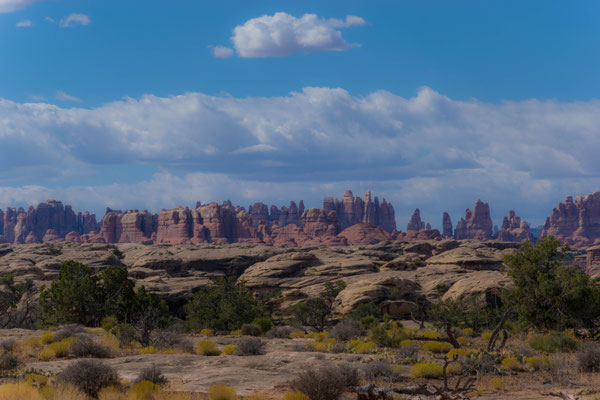 Auf den Wanderwegen in den Needles.