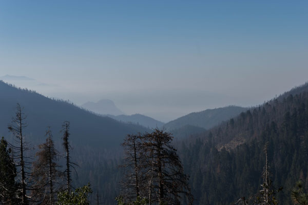 Kings Canyon Overlook.