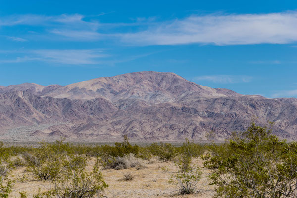 Im Joshua Tree Nationalpark.