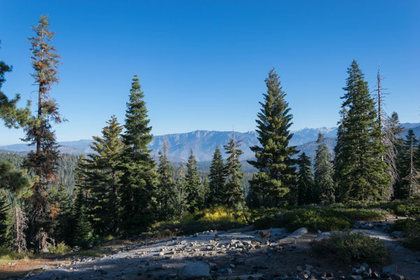 Kings Canyon Overlook.