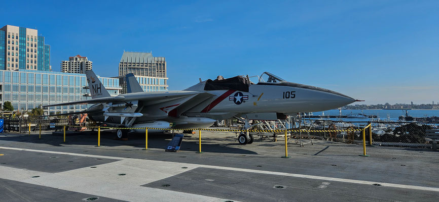 Eine F-14 Tomcat.